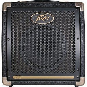 Peavey Ecoustic E20 Acoustic Combo Amp