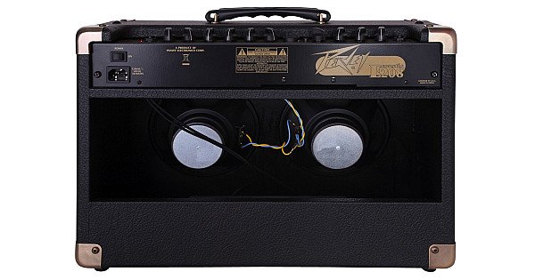 Jual Peavey Ecoustic E208 Acoustic Combo Amp - FREE Ongkir