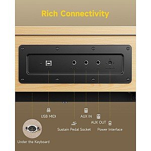 Toko Alat Musik Jual Semua Product Fully Weighted Terlengkap Original dan Termurah