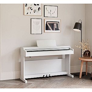 Toko Alat Musik Jual Semua Product Arius Series Terlengkap Original dan Termurah