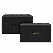 Nakamichi AV220 2 Way Passive Home Karaoke Speaker