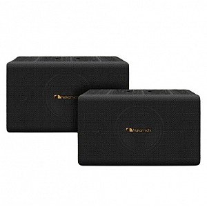 Nakamichi AV220 2 Way Passive Home Karaoke Speaker