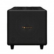 Nakamichi AVX500 12 Inch Subwoofer Home Karaoke