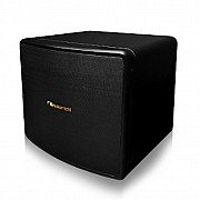 Nakamichi Synthesis FS 1000 12 Inch Front Firing Active Subwoofer