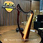 Harpa 36 Strings