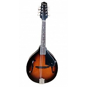 Mandolin Vienna LM1F