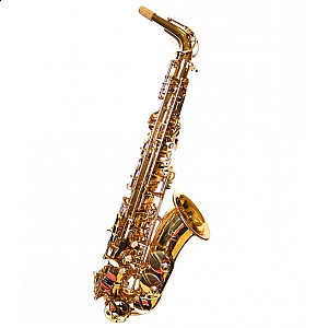 Conn Selmer AS651DIR Alto Saxophone Outfit