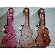 RKS Hardcase Gitar