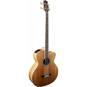 Toko Alat Musik Jual Semua Product Takamine Terlengkap Original dan Termurah