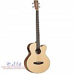 Tanglewood DBT AB BW Acoustic Bass