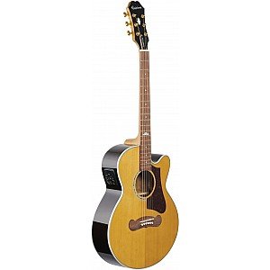 Toko Alat Musik Jual Semua Product Epiphone Terlengkap Original dan Termurah