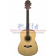 Hofmann HF100E String Acoustic Electric Guitars