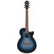 Ibanez AEG50 Acoustic Electric Guitar