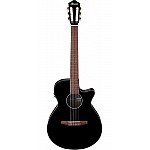 Ibanez AEG50N Nylon String Acoustic Electric Guitar