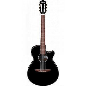 Ibanez AEG50N Nylon String Acoustic Electric Guitar