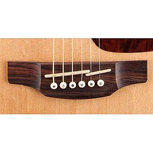 Toko Alat Musik Jual Semua Product Takamine Terlengkap Original dan Termurah