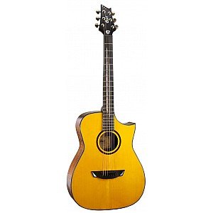 Cort LUXE-NAT LR BAGG EQ FRANK GAMBALE SIGNATURE Acoustic-Electric Guitar (with Case)