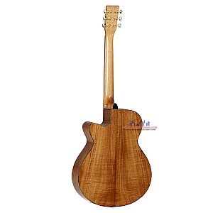 Toko Alat Musik Jual Semua Product Tanglewood Terlengkap Original dan Termurah