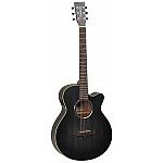 Tanglewood TWBB SFCE Electro Acoustic Guitar 