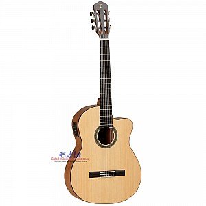 Tanglewood TWCE2 Winterleaf Classical Cutaway / Electric