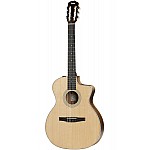 Taylor 214CE-N Grand Auditorium Nylon String Acoustic Electric Guitar with Gigbag