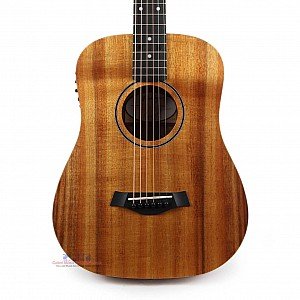 Toko Alat Musik Jual Semua Product Taylor Terlengkap Original dan Termurah