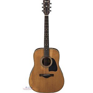 Ibanez AVD11 DNG Artwood Vintage Dreadnought Acoustic Guitar