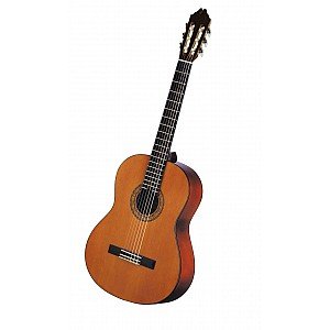 Toko Alat Musik Jual Semua Product Washburn Terlengkap Original dan Termurah