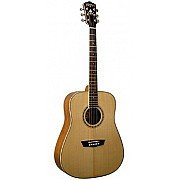 Washburn WD10 Acoustic Guitar