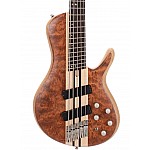 Cort A5 Beyond Artisan Series 5 String Bass Guitar, Open Pore Natural w/ Case