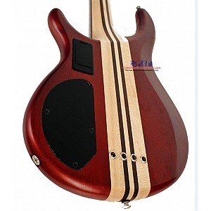 Toko Alat Musik Jual Semua Product Cort Terlengkap Original dan Termurah