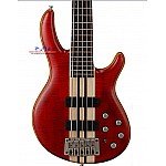 Cort Artisan A5 Plus FMMH OPBC Bass Guitar