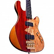 Cort Jeff Berlin Series Electric Bass Guitar