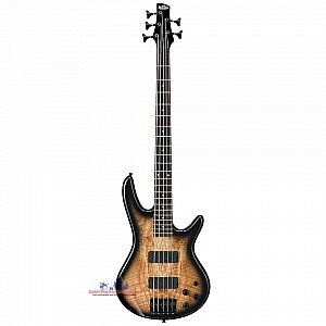 Toko Alat Musik Jual Semua Product Ibanez Terlengkap Original dan Termurah