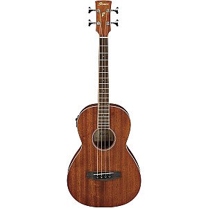 Ibanez PNB14E Acoustic Electric Bass Open Pore Natural
