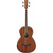 Ibanez PNB14E Acoustic Electric Bass Open Pore Natural