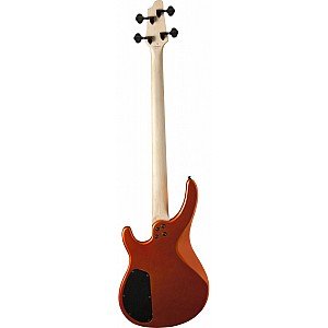 Toko Alat Musik Jual Semua Product Washburn Terlengkap Original dan Termurah