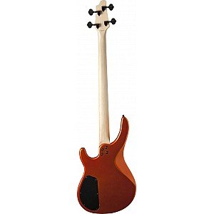 Toko Alat Musik Jual Semua Product Washburn Terlengkap Original dan Termurah