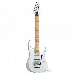 Toko Alat Musik Jual Semua Product Ibanez Terlengkap Original dan Termurah