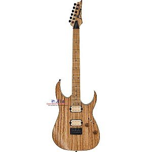 Toko Alat Musik Jual Semua Product Ibanez Terlengkap Original dan Termurah