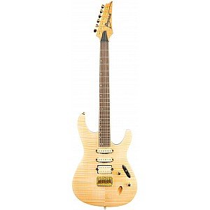 Toko Alat Musik Jual Semua Product Ibanez Terlengkap Original dan Termurah