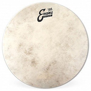 Evans TT10C7 10 inch Calftone Batter Tom Drumhead
