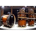 DW Collector's Satin 7 Piece Honey To Ebony Burst with Gold Hardware SSC Maple Shell Pack