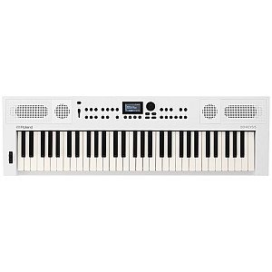 Roland GO KEYS 5 61 Key Touch Sensitive Portable Keyboard