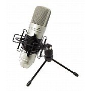 Tascam TM-80 Condenser Microphone