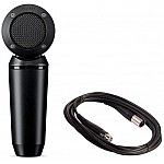 Shure PGA181 Side-Address Cardioid Condenser Microphone (XLR Cable)