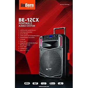 Aubern BE12CX Portable Amplifier Wireless