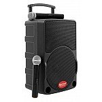 Baretone MAX10C 10 inch Portable Wireless Speaker