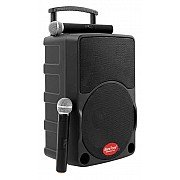 Baretone MAX10C 10 inch Portable Wireless Speaker