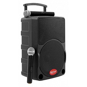 Baretone MAX10C 10 inch Portable Wireless Speaker